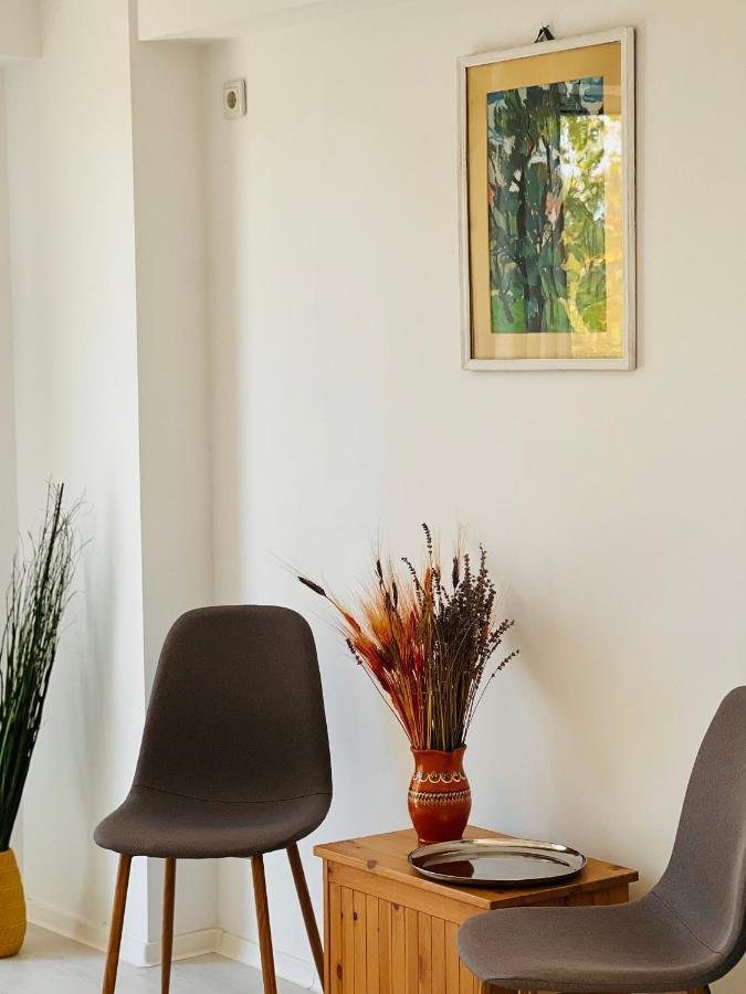 The Airport Loft Apartment Otopeni Luaran gambar