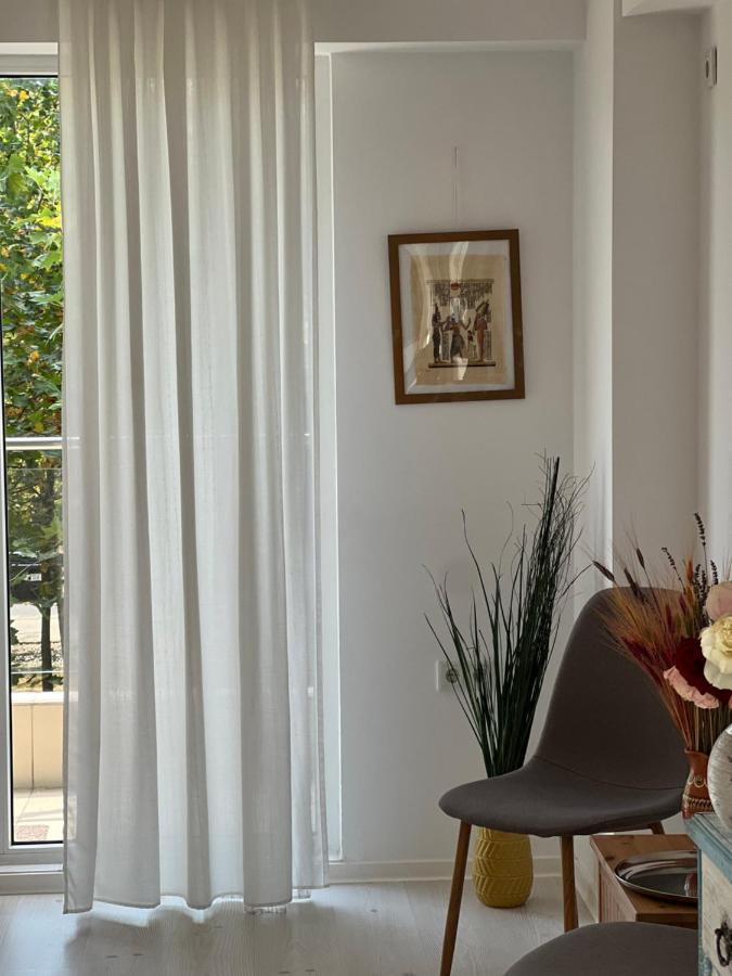 The Airport Loft Apartment Otopeni Luaran gambar