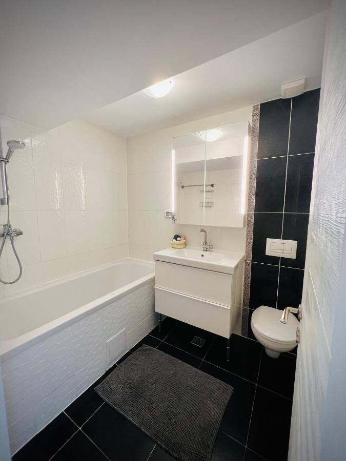 The Airport Loft Apartment Otopeni Luaran gambar